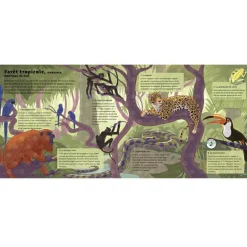 Livre sonore Le monde des forêts (collection Les sons de la nature)