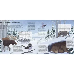 Livre sonore Le monde des forêts (collection Les sons de la nature)