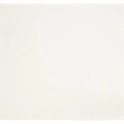 Lot 2 Langes Gala Mint (70 x 70 cm)