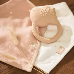 Lot de 2 bavoirs bandana Twinkling Wild Rose