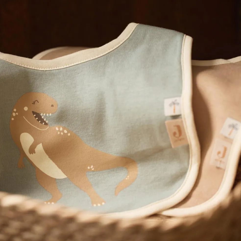 Lot de 5 bavoirs imperméables Roarsome