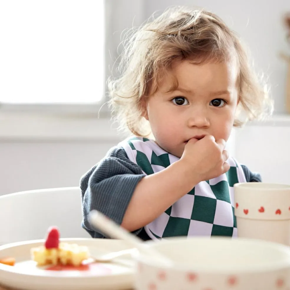 Lot de 5 bavoirs éponge Happy Rascals Coeur lavande