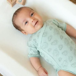 Lot de 2 bodies Feuille (naissance)