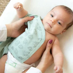 Lot de 2 bodies Feuille (naissance)