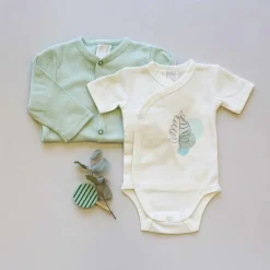 Lot de 2 bodies Feuille (naissance)