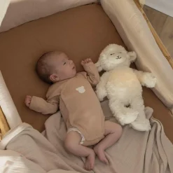 Lot de 2 bodies Ourson (1 mois)