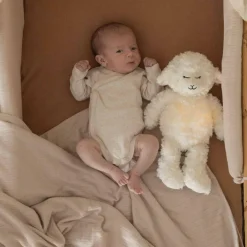 Lot de 2 bodies Ourson (3 mois)