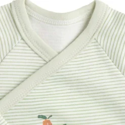 Lot de 3 bodis Botanica (naissance)