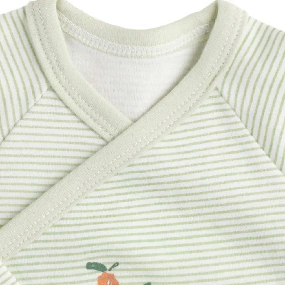 Lot de 3 bodis Botanica (naissance)