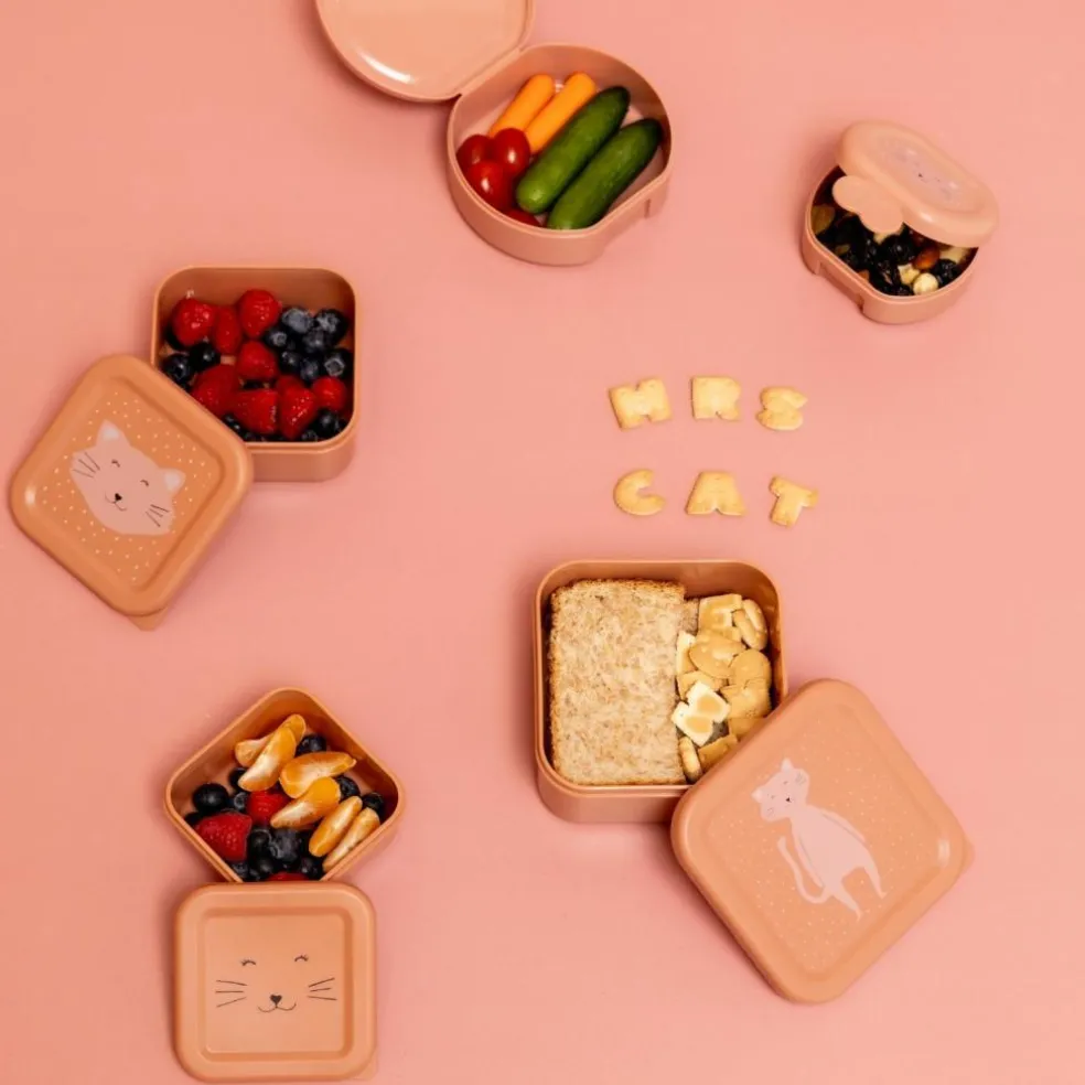 Lot de 2 boîtes à goûter à clip Mrs. Cat