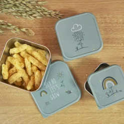 Lot de 3 boîtes à goûter Garden Explorer