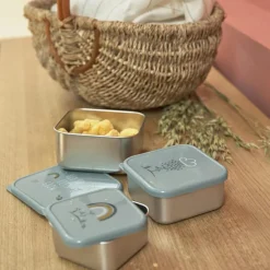 Lot de 3 boîtes à goûter Garden Explorer