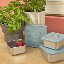 Lot de 3 boîtes à goûter Garden Explorer