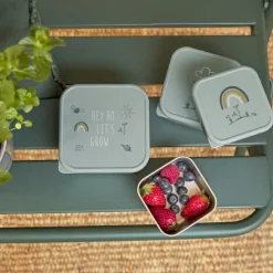 Lot de 3 boîtes à goûter Garden Explorer