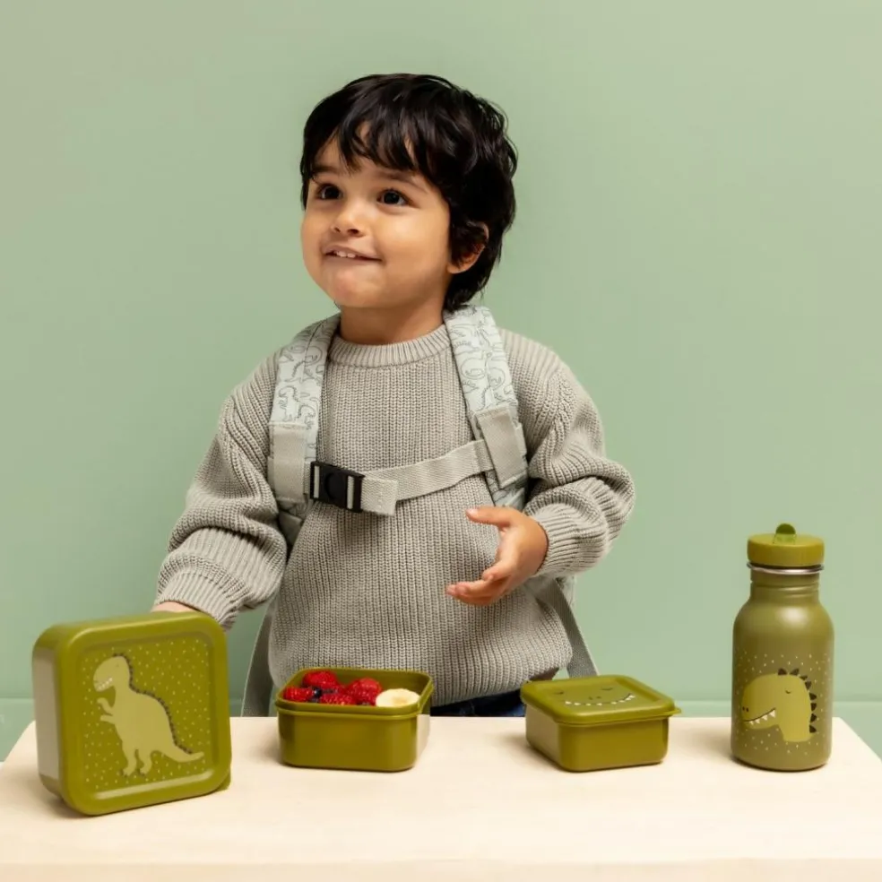 Lot de 3 boîtes à goûter Mr. Dino