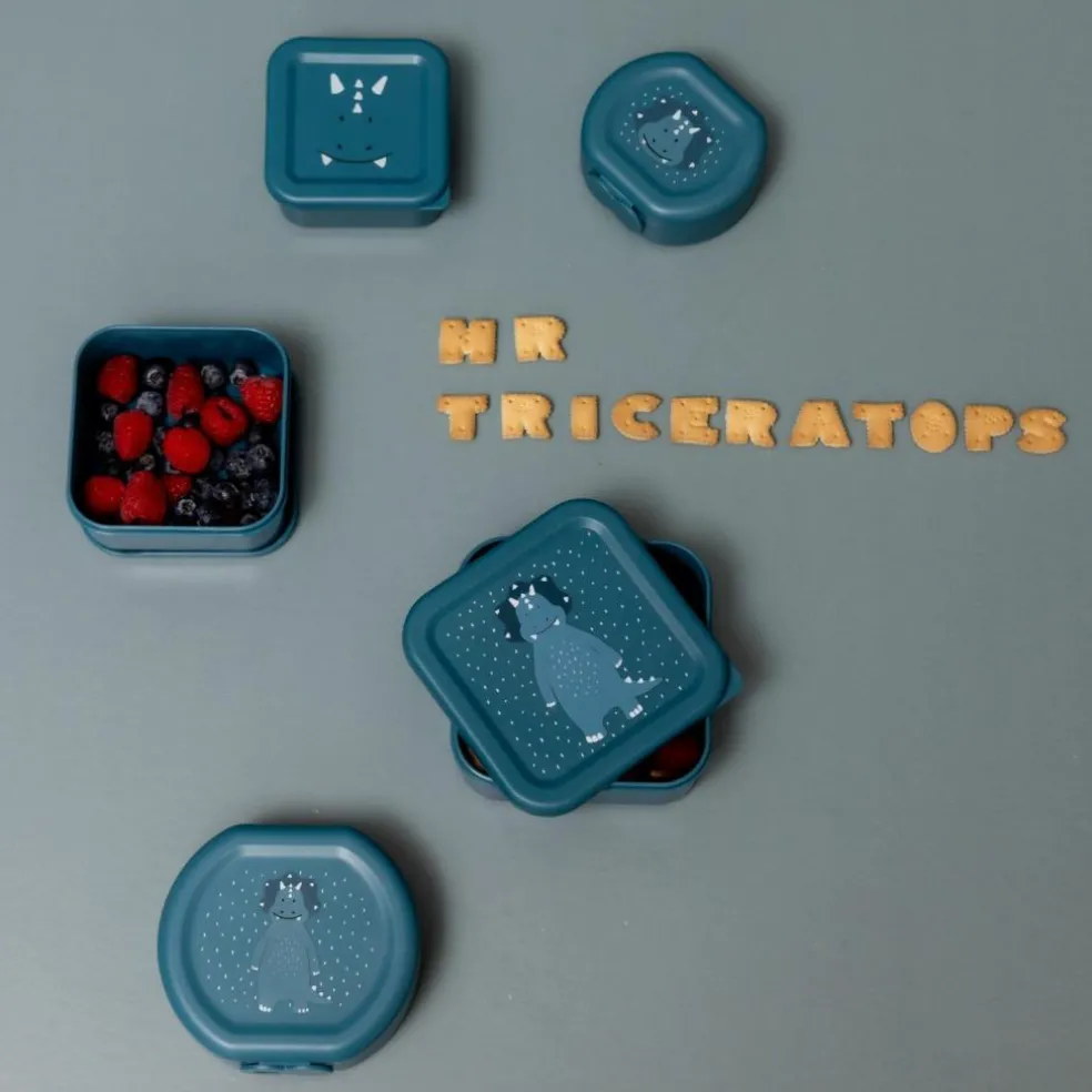 Lot de 3 boîtes à goûter Mr. Triceratops
