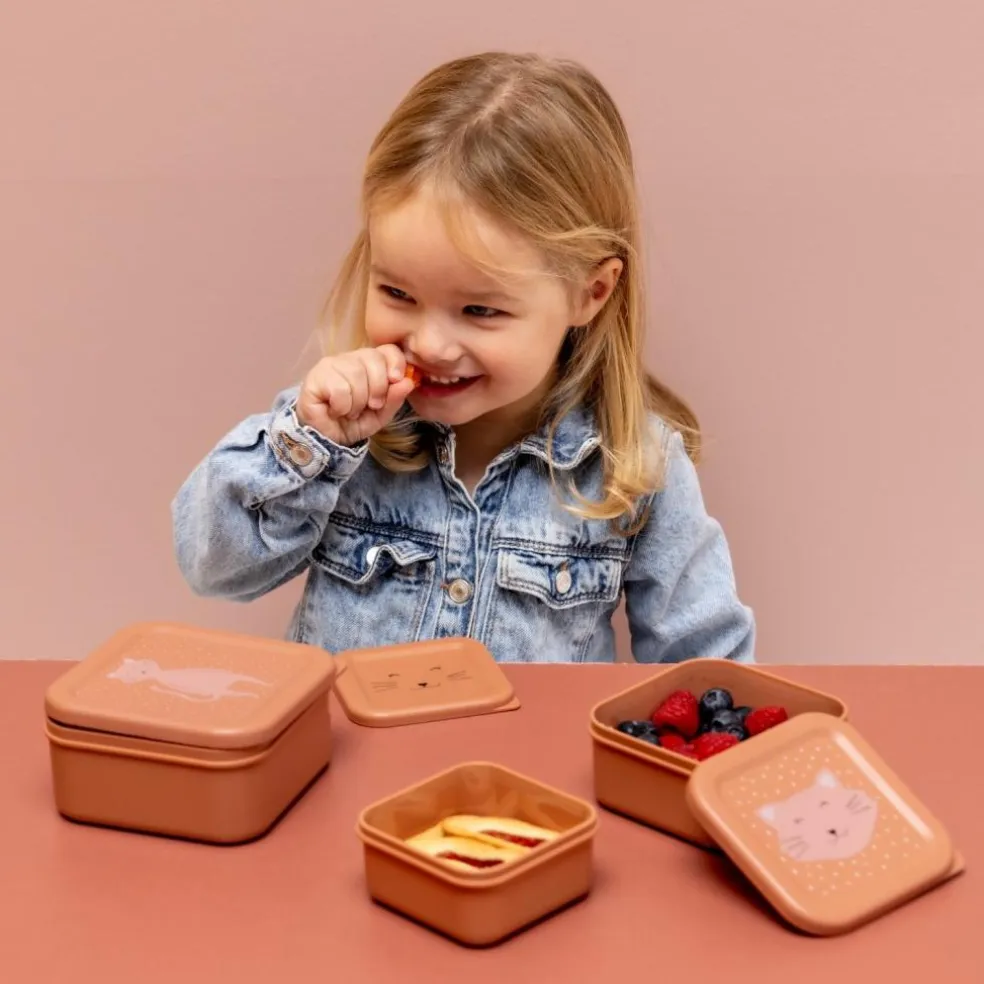 Lot de 3 boîtes à goûter Mrs. Cat