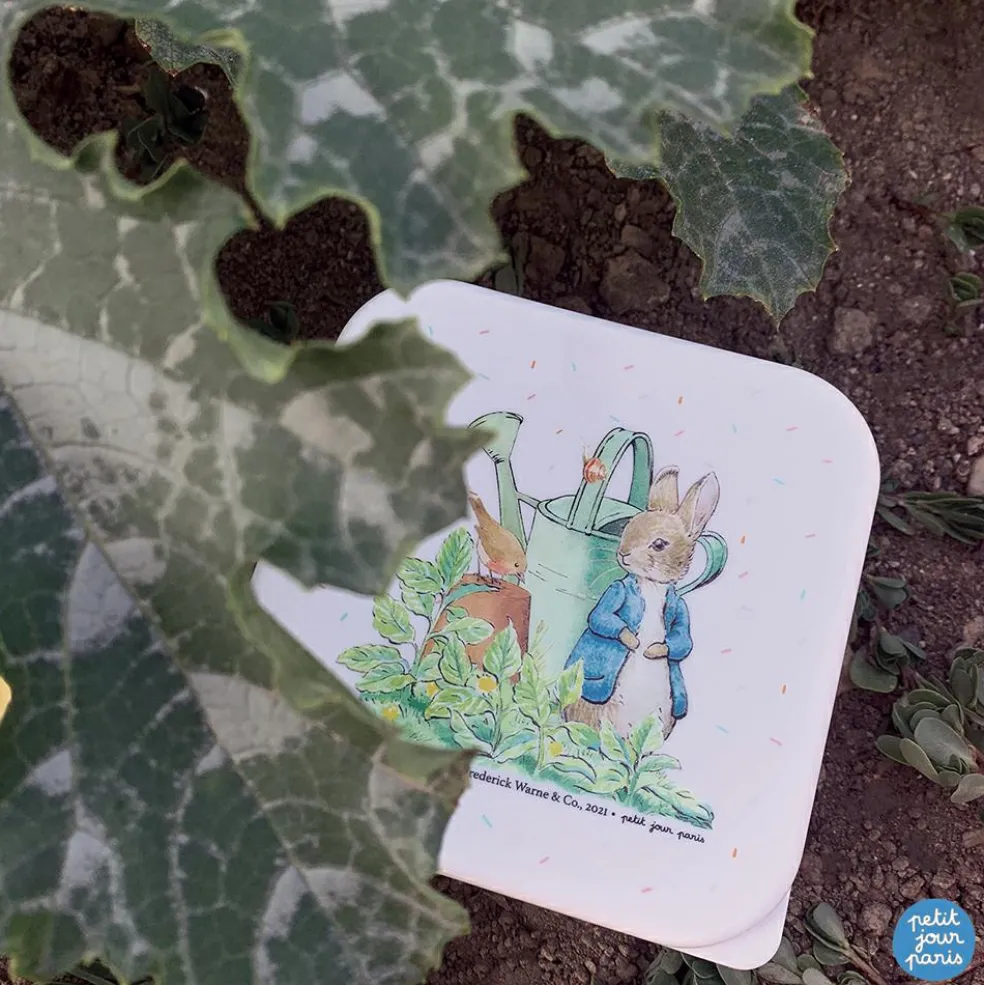 Lot de 3 boîtes à goûter Pierre Lapin