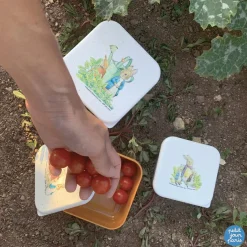 Lot de 3 boîtes à goûter Pierre Lapin