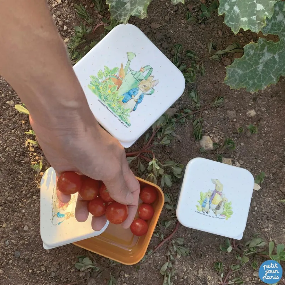 Lot de 3 boîtes à goûter Pierre Lapin