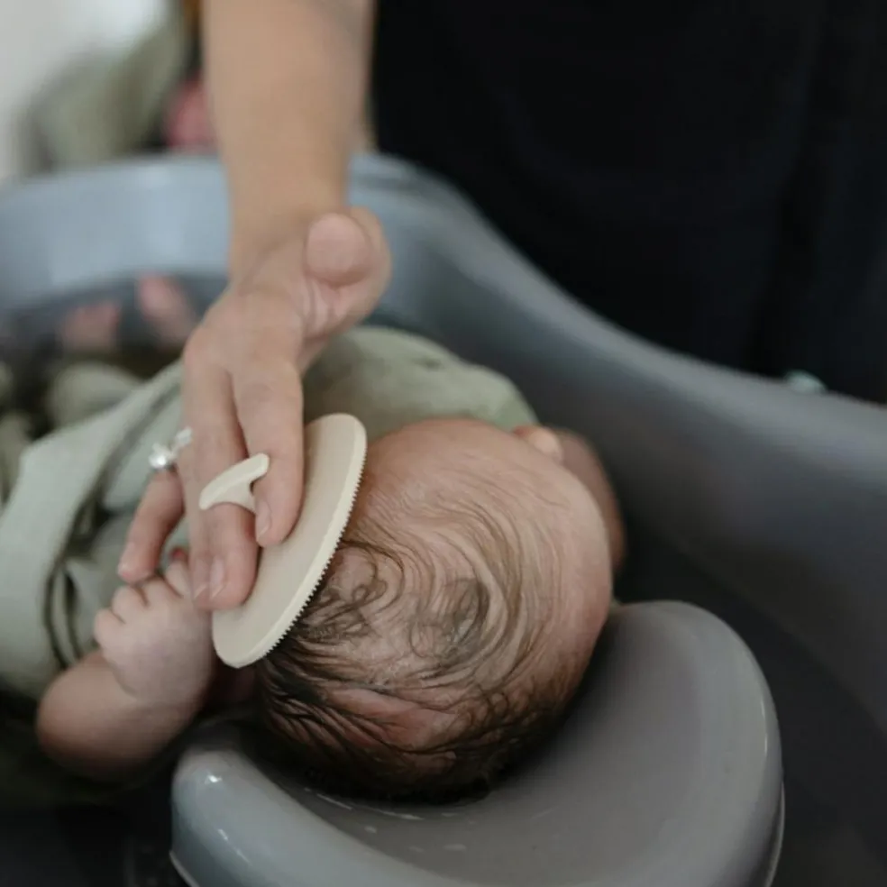 Lot de 2 brosses pour croûtes de lait Blush-Shifting Sand