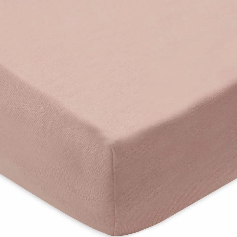 Lot de 2 draps housses en jersey Wild Rose-Ivory (40 x 80 cm)