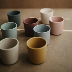 Lot de 2 gobelets Sage