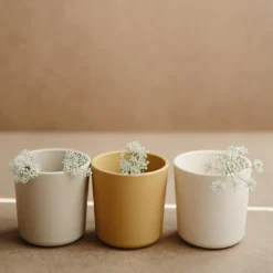 Lot de 2 gobelets Vanilla