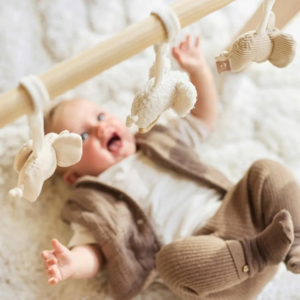 Lot de 3 jouets pour arche d'éveil Elephant Tales