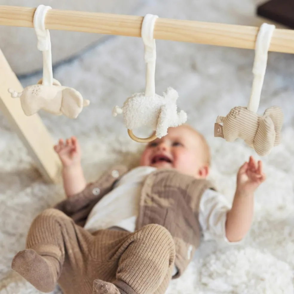 Lot de 3 jouets pour arche d'éveil Elephant Tales