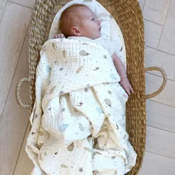 Lot de 3 langes en coton bio Dreamland (70 x 70 cm)