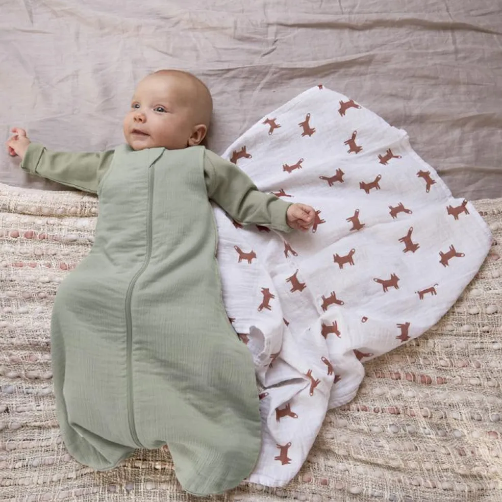 Lot de 3 langes en mousseline Little Forest Renard (60 x 60 cm)