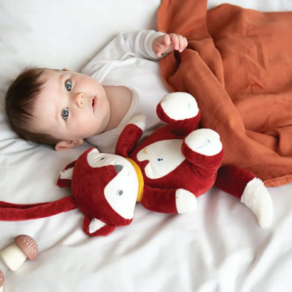 Lot de 3 langes en mousseline de coton Oies (70 x 70 cm)