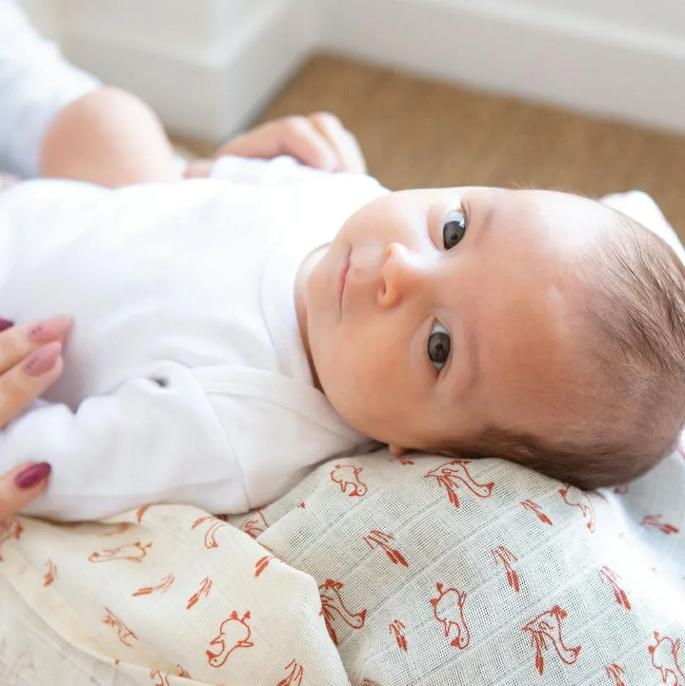 Lot de 3 langes en mousseline de coton Oies (70 x 70 cm)