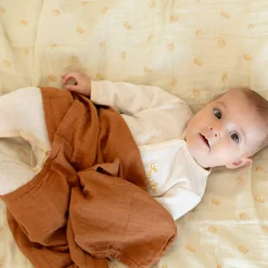 Lot de 3 langes en mousseline Diplododo (70 x 70 cm)