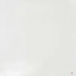 Lot de 2 maxi-langes en coton Twinkling Wild Rose (115 x 115 cm)