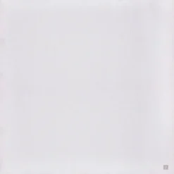 Lot de 2 maxi-langes en coton Wild Rose-Ivory (115 x 115 cm)