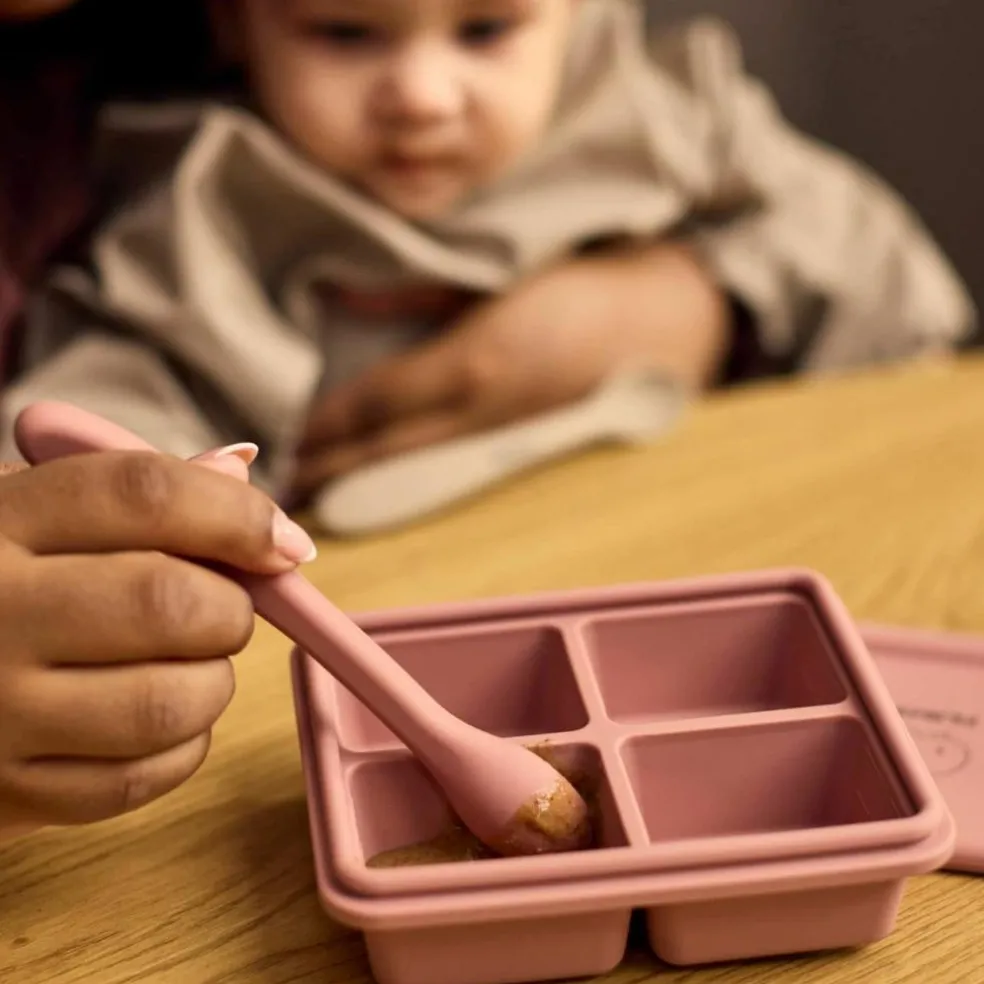 Lot de 2 moules de conservation Rose