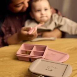 Lot de 2 moules de conservation Rose