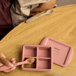 Lot de 2 moules de conservation Rose