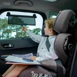 Lot de 2 pare-soleil à ventouse