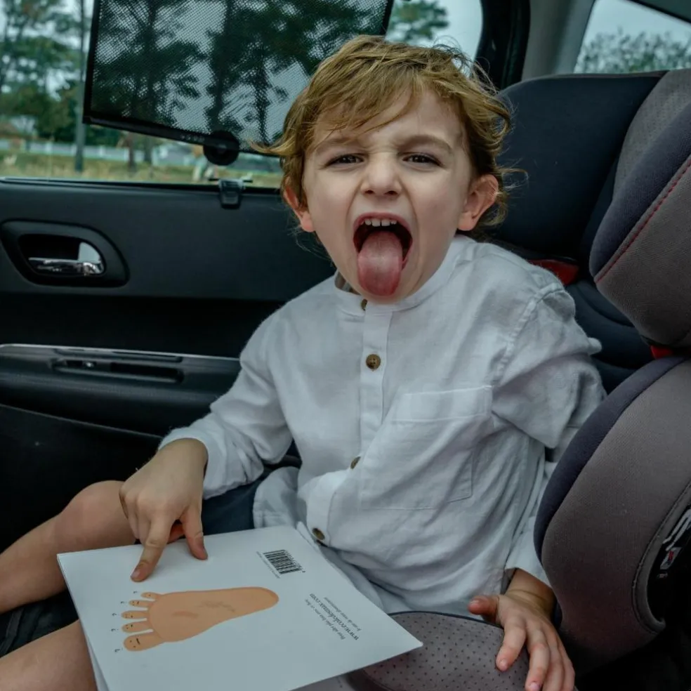 Lot de 2 pare-soleil à ventouse