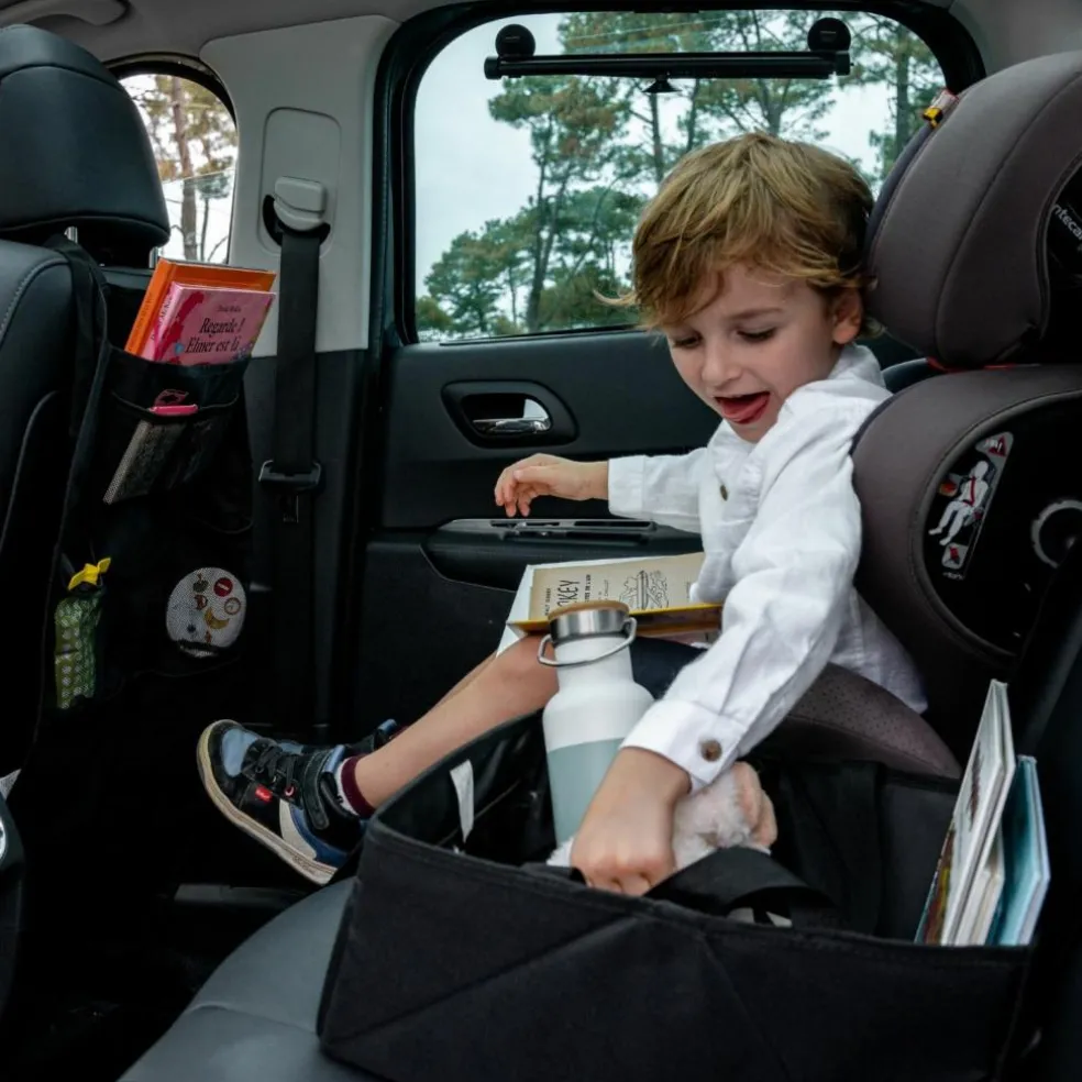 Lot de 2 pare-soleil à ventouse