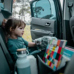 Lot de 2 pare-soleil à ventouse Ezi Sun Stoppers