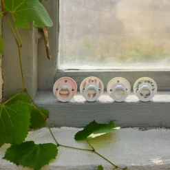 Lot de 2 sucettes Binky Garden Leo Toile (3 mois et +)