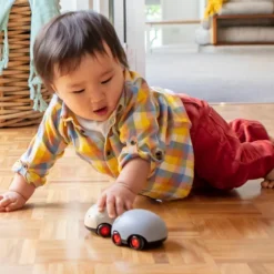 Lot de 2 véhicules à friction animaux australiens