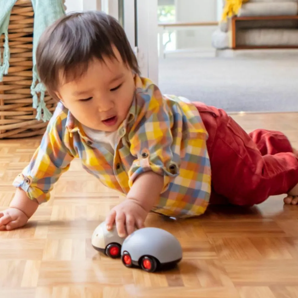 Lot de 2 véhicules à friction animaux australiens