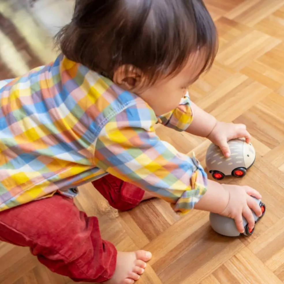 Lot de 2 véhicules à friction animaux australiens