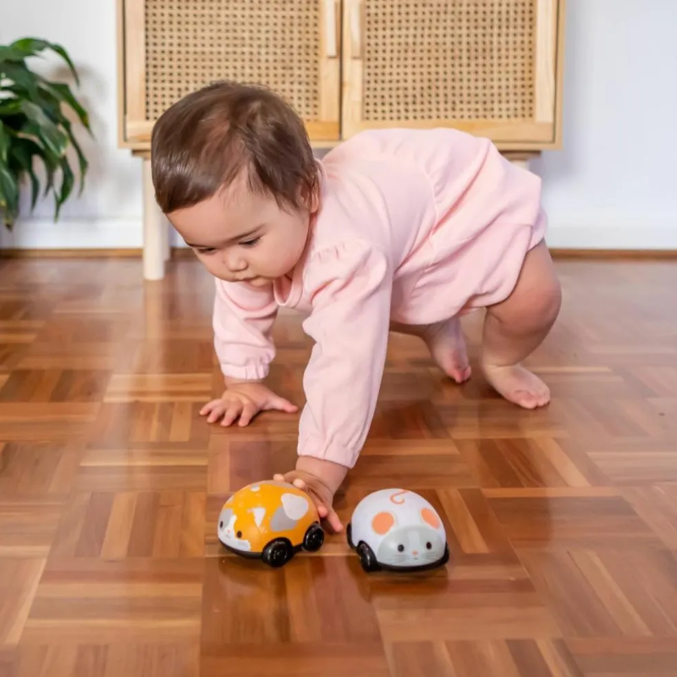 Lot de 2 véhicules à friction chat et souris