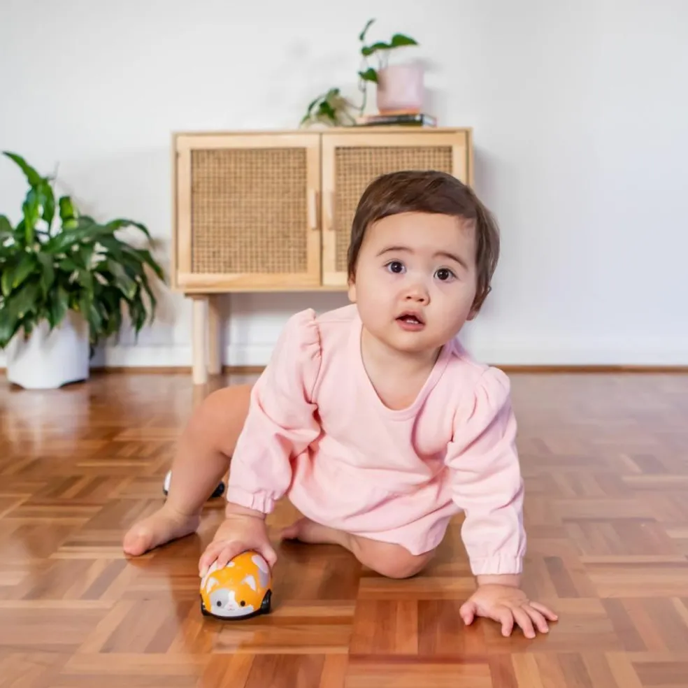 Lot de 2 véhicules à friction chat et souris